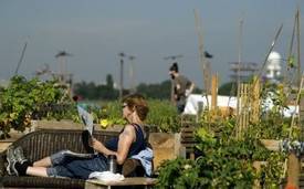 Un jardin urbain sur l'a&eacute;roport d&eacute;saffect&eacute; de Tempelhof | URBANmedias | Scoop.it