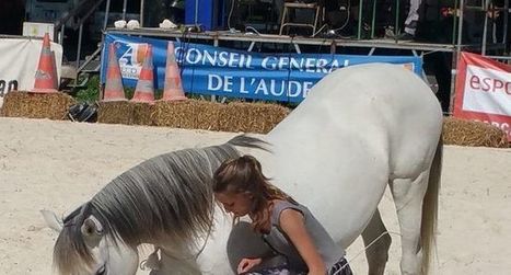 Le cheval a été élu roi de la fête | Salon du Cheval | Scoop.it