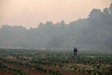 Changement climatique&nbsp;: le gouvernement fixe une trajectoire, sans mettre les moyens | Veille UrbaLyon : Planification urbaine -  Plan local d'urbanisme | Scoop.it