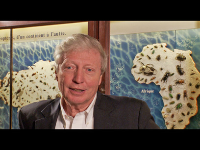 CNRS Images : Jules Hoffmann, chercher pour comprendre | EntomoScience | Scoop.it