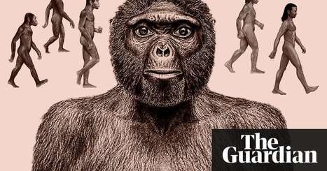 Tracing the tangled tracks of humankind's evolutionary journey | Hannah Devlin | News | The Guardian | Schools + Libraries + Museums + STEAM + Digital Media Literacy + Cyber Arts + Connected to Fiber Networks | Scoop.it