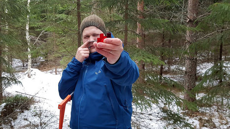 Metsäyhtiö halusi heikosti hoidetut metsät uuteen käyttöön – perintömetsistä tulossa kaupunkilaisille täysin uudenlainen bisnes | Yle Uutiset | yle.fi | 1Uutiset - Lukemisen tähden | Scoop.it