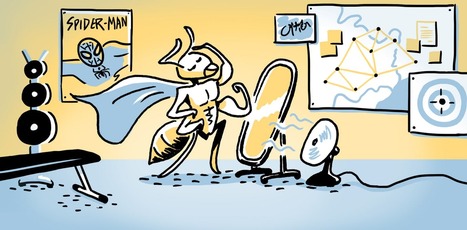 La guerre des fourmis - épisode 2 : Espèces envahissantes ~ et Superpouvoirs ~ | EntomoScience | Scoop.it