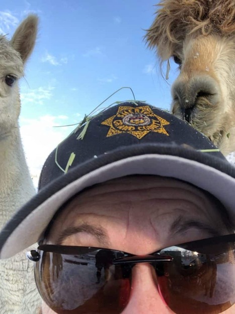 This week in history: Shelter cares for wide variety of animals during fire, county looks for new dump site and more | SkyHiNews.com | Industry 411 - Waste Management | Scoop.it