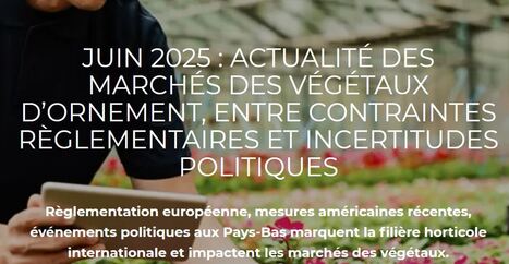 Les contraintes règlementaires pèsent sur les acteurs de la filière du végétal | HORTICULTURE | Scoop.it