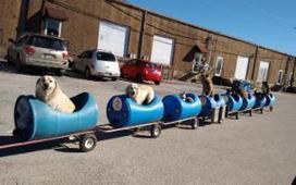 Man creates the 'dog train' for rescued and abandoned dogs | No Such Thing As The News | Scoop.it