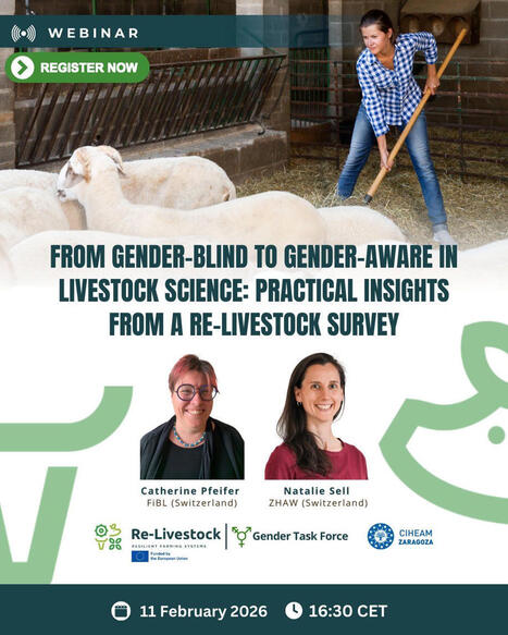 CIHEAM Zaragoza : How can Gender-Aware Data Stengthen Livestock Research and Decision-Making? | CIHEAM Press Review | Scoop.it