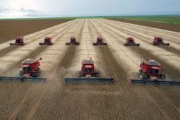 They razed paradise and put up a soybean lot | Capstone: An ESRM Coda | Scoop.it
