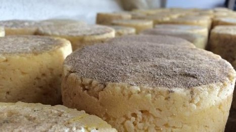 Haute-Loire : le fromage aux artisous part en quête d'une AOP | Lait de Normandie... et d'ailleurs | Scoop.it