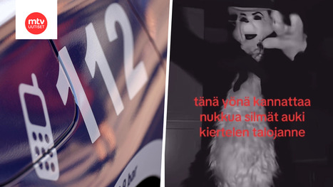 Kissahahmo h&auml;mment&auml;&auml; ja pelottaa Oulussa, poliisi huolissaan etsinn&ouml;ist&auml;: "Mukana astaloita ja muita" | A1Uutiset | Scoop.it