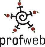 Profweb : J’assiste au cours, peu importe le lieu et le moment. | Université et numérique | Scoop.it