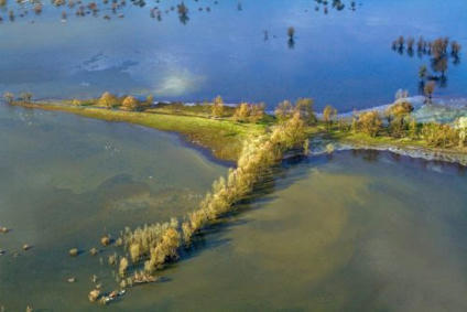 Le Consortium M&eacute;diterran&eacute;en pour la Biodiversit&eacute; : une Alliance d&rsquo;organisations internationales pour prot&eacute;ger la Nature - Medwet | Gestion Durable des Ressources | Scoop.it