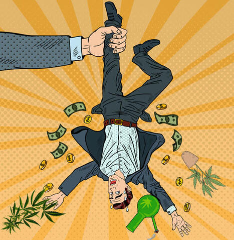 Trump is a Businessman, He Will Legalize and Tax Marijuana - The Hidden Costs of Taxes Are Killing the Cannabis Industry | Cannabis.Net | Scoop.it