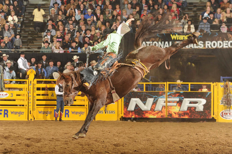 Tyler Corrington : Wrangler National Finals Rodeo | Cheval et sport | Scoop.it