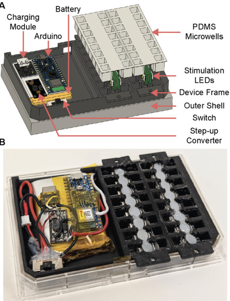 Fabrication and Use of a 32-Well LED-Embedded Microplate for Optogenetic Dynamic Control | brvt | RMH | Scoop.it