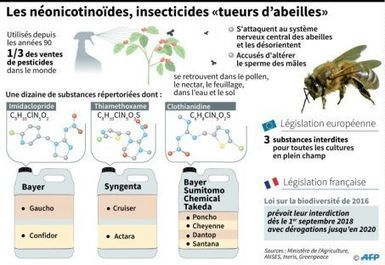 Cinq n&eacute;onicotino&iuml;des interdits &agrave; partir de septembre pour enrayer le d&eacute;clin des abeilles | EntomoNews | Scoop.it