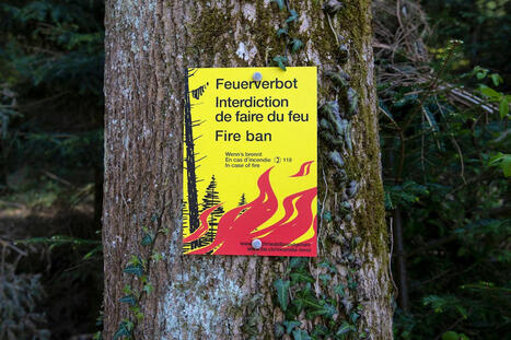 Villes suisses: la v&eacute;g&eacute;talisation s'impose comme solution face aux canicules et au manque d'ombre | Veille UrbaLyon : Sant&eacute; environnementale & bienfaits du v&eacute;g&eacute;tal | Scoop.it