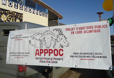 Près de Châteaubriant : ces éleveurs ont pour projet la construction d’un abattoir | Actualité Bétail | Scoop.it