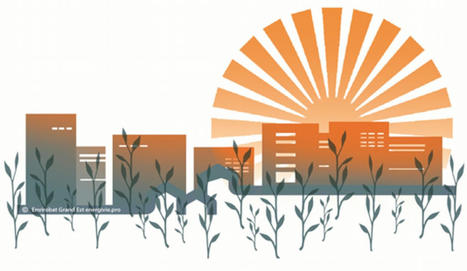 [Webinar] Confort d'été et solutions fondées sur la nature (2ème partie) - 18/03/2021 - 14h00 - En ligne | Confort d'été | Scoop.it