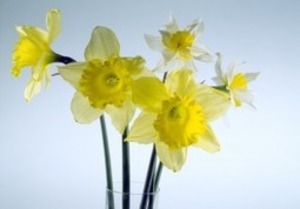 L’égo, frein majeur à l’intelligence collaborative | Innovating to what's next... | Scoop.it