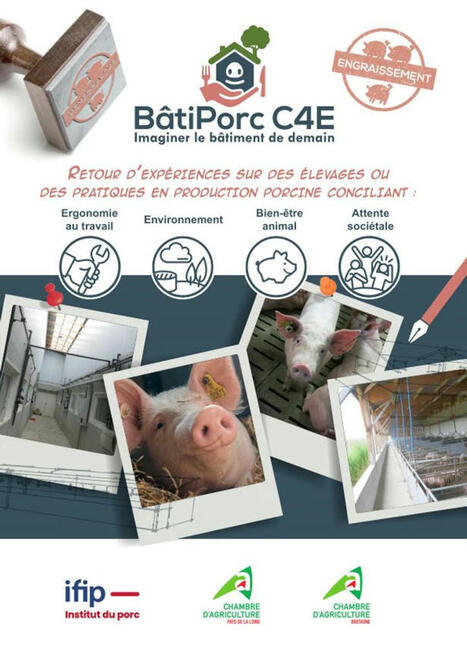 Des élevages de porcs conciliant travail et attentes sociétales : bien-être et environnement | SCIENCES DE L' ANIMAL | Scoop.it