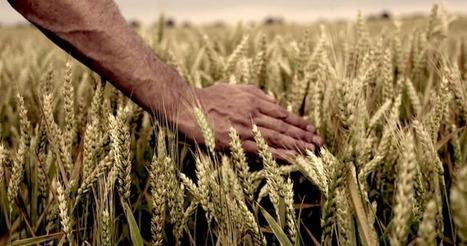 The Style of 5 Famous Directors Has Been Perfectly Replicated Using Only Stock Footage | SONY PHOTO & VIDEO | Scoop.it