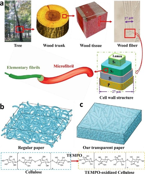 96% optically transparent paper could revolutionize next-generation solar cells | Ciencia-Física | Scoop.it