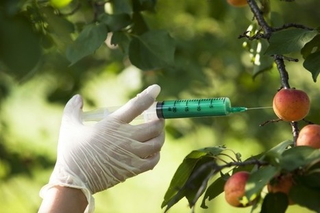 Les « nouveaux OGM » sont des OGM comme les autres | Les Colocs du jardin | Scoop.it