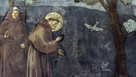 Crise climatique. 10 ans après Laudato Si’, quel avenir ? | Biodiversité | Scoop.it