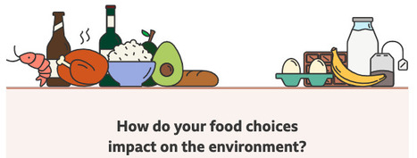 Climate change food calculator: What's your diet's carbon footprint? - BBC | Medici per l'ambiente - A cura di ISDE Modena in collaborazione con "Marketing sociale". Newsletter N°34 | Scoop.it
