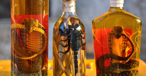 10 Liquors Made With Scary Ingredients | KILUVU | Scoop.it