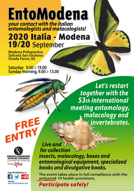 EntoModena 19-20 septembre 2020 | Variétés entomologiques | Scoop.it