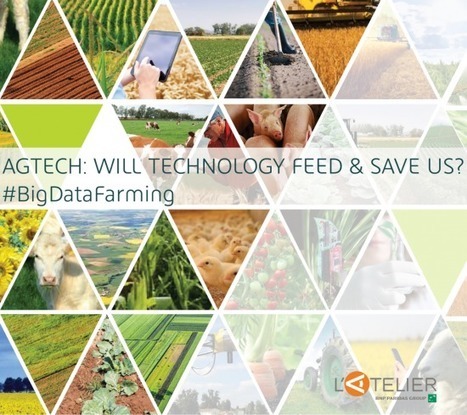 Drones + Data, moteurs de l&rsquo;agriculture du futur | INNOVATIONS | Scoop.it