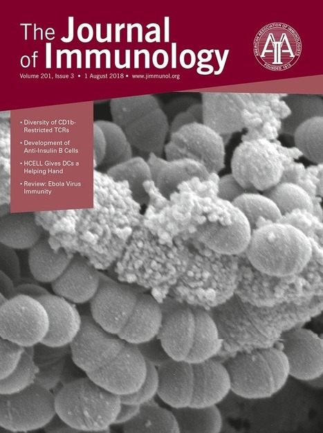 Repeated Allergen Exposure in A/J Mice Causes Steroid-Insensitive Asthma via a Defect in Glucocorticoid Receptor Bioavailability | Allergy (and clinical immunology) | Scoop.it