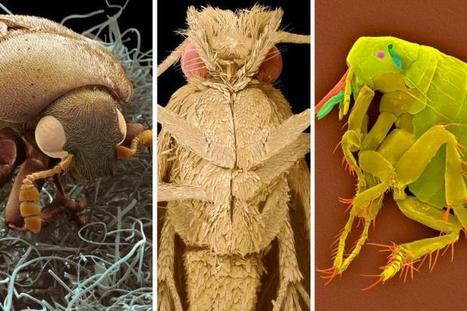 starwars porno sarja kuva