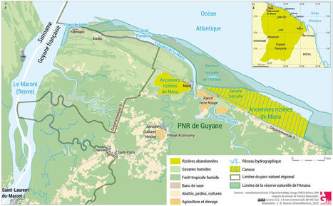 GUYANE : l’expérience de la riziculture dans la région de Mana | AMÉRIQUES | Scoop.it