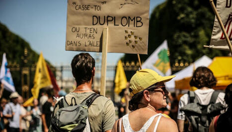 La pétition contre la loi Duplomb n'en finit pas d'engranger des signatures . En Alsace, les signataires sont aux anges et les partisans de la loi particulièrement irrités. | Planète DDurable | Scoop.it