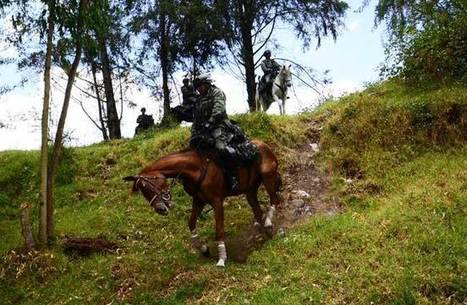 Caballos indispensables en zona fronteriza - Diario El Norte | Caballo, Caballos | Scoop.it