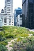 Les différents types de Toits végétalisés | Build Green, pour un habitat écologique | Scoop.it