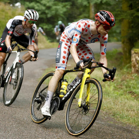 Cyclisme. Pogacar et Vingegaard r&eacute;veill&eacute;s en pleine nuit pour un contr&ocirc;le | Cyclisme | Scoop.it
