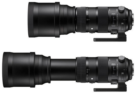 Sigma 150-600mm Sport review - super-telephoto zoom! | Photography Gear News | Scoop.it