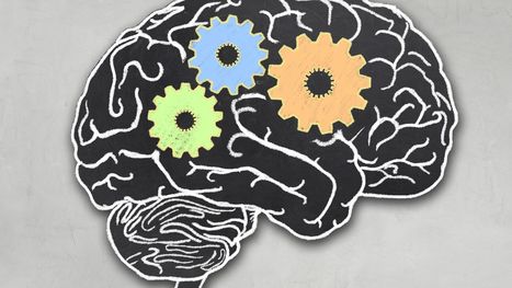 Helping Students Develop Executive Function Skills | Social and Emotional Support of Students | Scoop.it