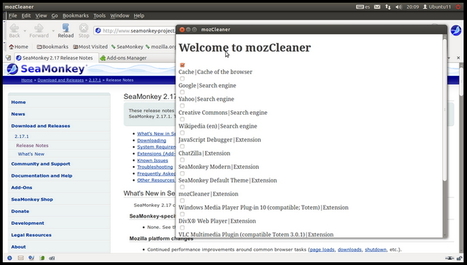 Nettoyer Firefox avec MozCleaner | Le Top des Applications Web et Logiciels Gratuits | Scoop.it