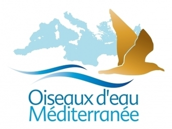 Tenue du 5ème atelier du Réseau des oiseaux d'eau en Méditerranée à Tunis  | Les oiseaux au gré du vent | Scoop.it