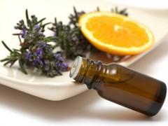 16 insecticides naturels et sans risque  | Aromathologie | Scoop.it