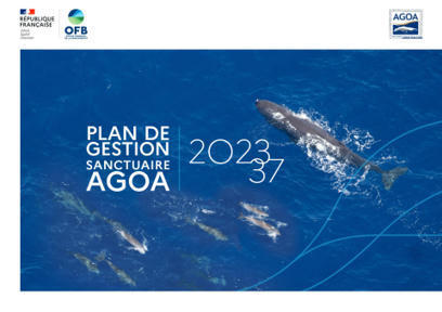 Le plan de gestion 2023-2037 du Sanctuaire pour les mammifères marins Agoa est publié | Biodiversité : les chiffres-clés | Scoop.it