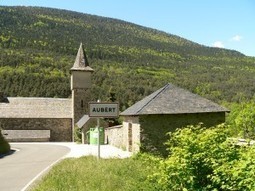 L&rsquo;oursonne perdue et le super &laquo;&nbsp;macho&nbsp;&raquo; des Pyr&eacute;n&eacute;es - Blog le-Monde - 4 juin 2014 | Pastoralisme Ours Loups Lynx | Scoop.it
