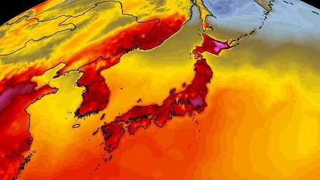 Japan Heat Wave Kills 5 People, Hospitalizes Nearly 600 | GTAV AC:G Y10 - Geographies of human wellbeing | Scoop.it