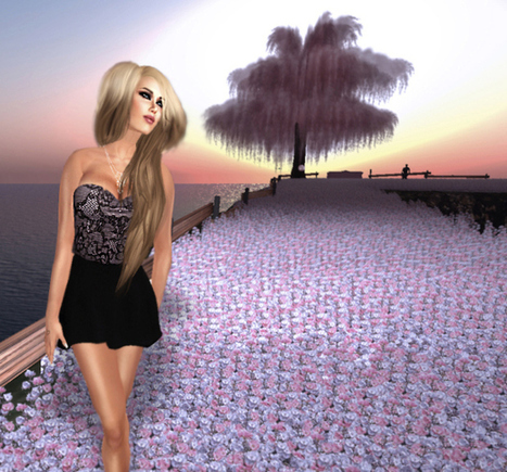 Sunset Lace | Second LIfe Good Stuff | Scoop.it