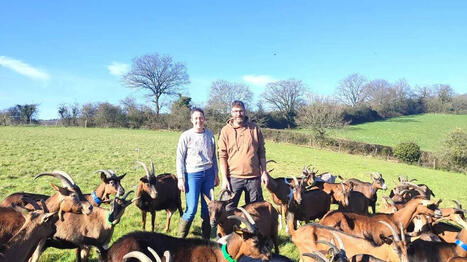 &Eacute;lodie et Ga&euml;tan Desjardins sont aux petits soins pour leurs ch&egrave;vres et fabriquent leurs propres fromages bio - Ouest France [Abonn&eacute;s] | Agriculture en Pays de la Loire | Scoop.it